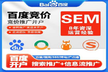 SEO与SEM优化案例：打造行业领先品牌